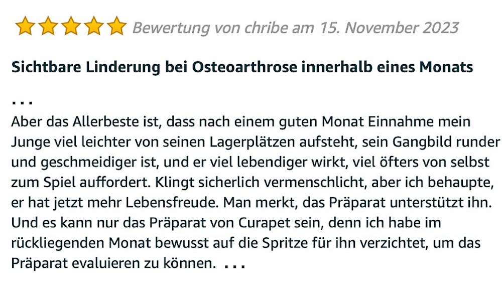 osteoarthrose Hund