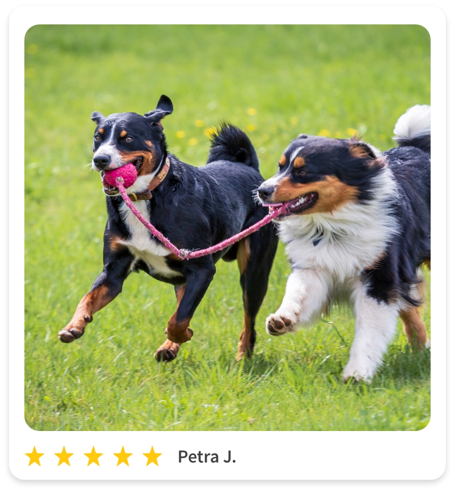 Petra J.