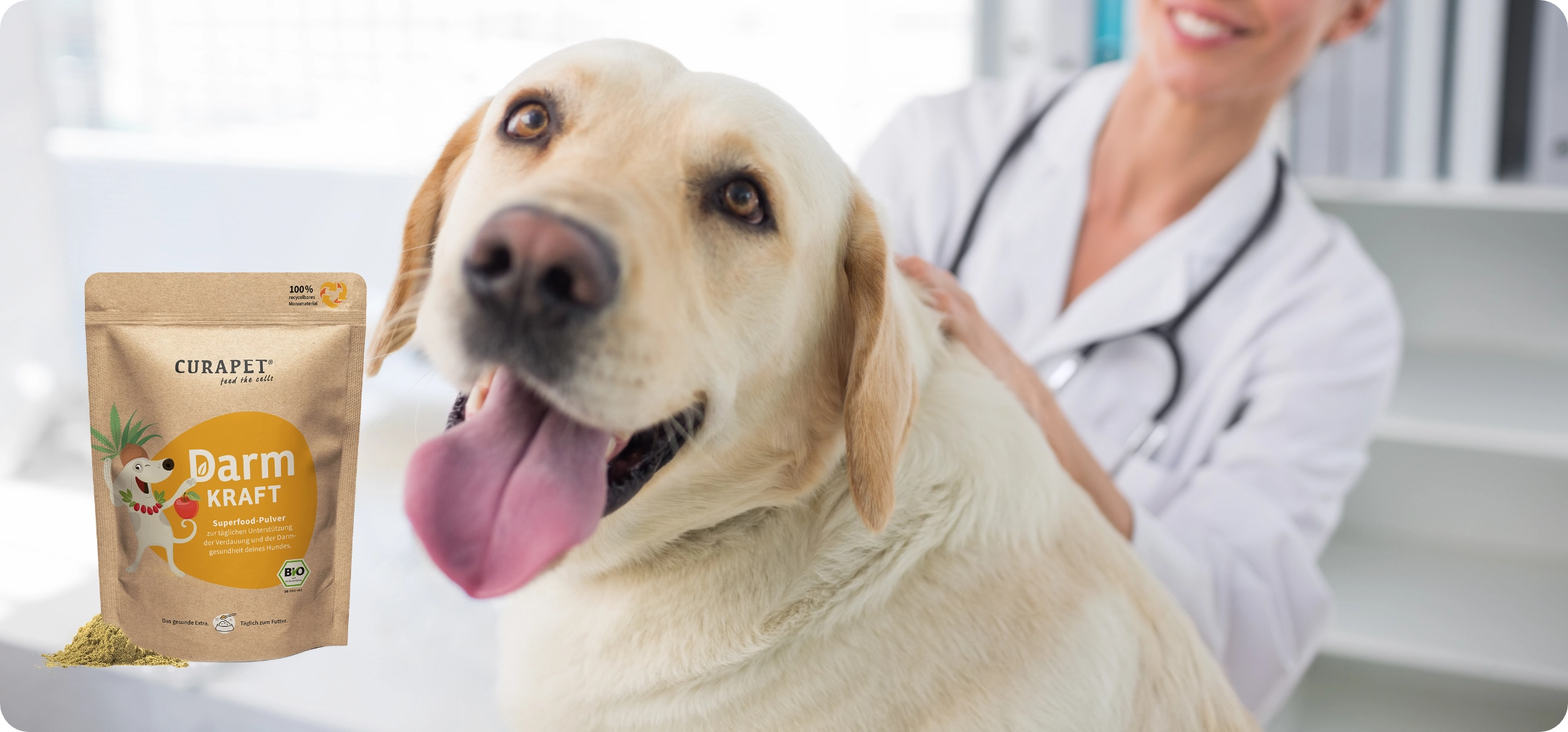 Hunde Magen-Darmbeschwerden