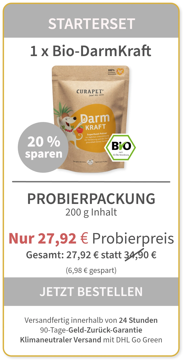 Darmkraft Starterpaket 27,92 mobil